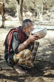 Ali drinking milk after milking one of his camels (camelus dromedarius), camel farm of Sheikh Ahmed