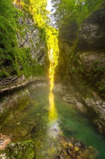Sunlight illuminating the clear waters of the radovna river flowing through vintgar gorge near