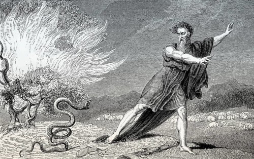 The rod becomes a serpent, Moses, Book of Exodus, Old Testament, Hebrew Tanakh