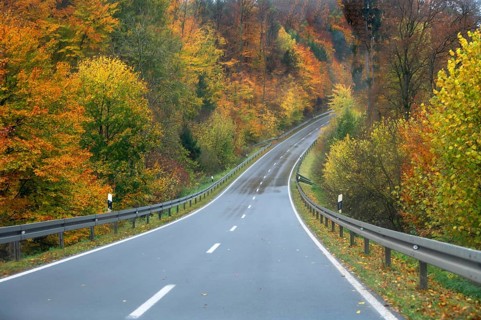 Mixed forest in autumn colors in Franconia on the B2 Nuremberg-Bayreuth, Upper Franconia, Bavaria,