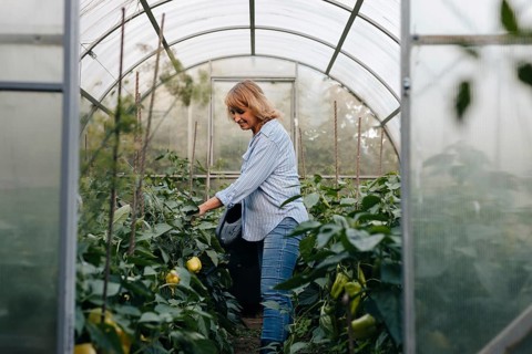 A woman in a greenhouse attentively tending to lush plants. The environment is filled with vibrant