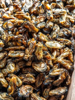 High-detail photo of sun-dried mussels, commonly sold in local markets in Singapore, showcasing