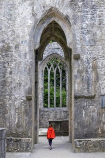 Muckross Abbey, ruined monastery, Killarney National Park, County Kerry, Ireland