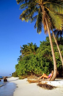 Young woman in colourful swimming costume leaning relaxed on slanted trunk of coconut palm (Cocos