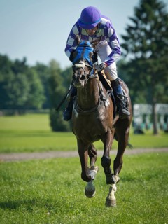 Jockey on the horse during horserace in Wroclaw, Poland