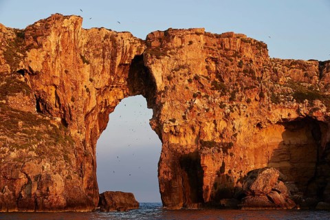 Rock arch with birds flying at golden sunrise, morning light, Tsichli Babas islet, Navarino Bay,