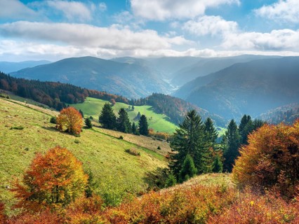View of typical Black Forest landscape with steep meadows and forests on Schauinsland, trees in