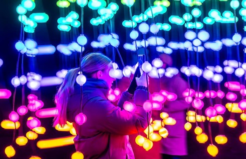 Park lights, winter event, in the Grugapark in Essen, many different light installations, across