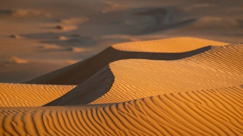 Sand dunes in the Rhub al Khali desert, detailed view, empty quarter, largest sandy desert in the