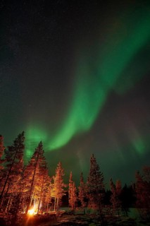 Man in the evening at a bivouac with campfire, Lapland, Sweden, Scandinavia