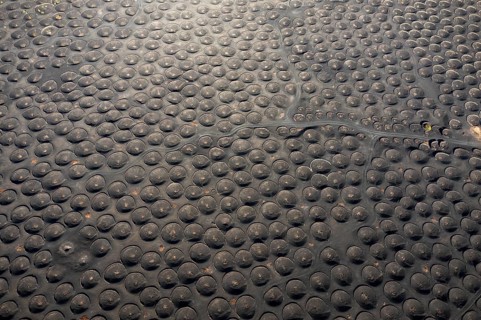 Overhead shot capturing the unique circular patterns of vine cultivation in the volcanic landscapes