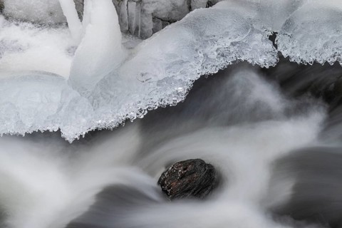 Ice formations on a flowing stream, Alvdal, Hedamrk, Innlandet, Norway, November 2025