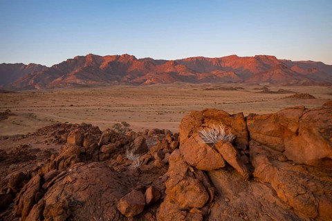 Desert landscape with Brandberg in morning light, at sunrise, Erongo, Damaraland, Namibia