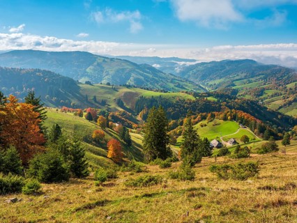 Typical Black Forest landscape with meadows, forests and individual farms in the Schauinsland area,