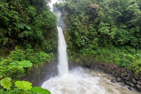 Catarata de la Paz waterfall, Costa Rica, flowing with massive volume after heavy rainfall.