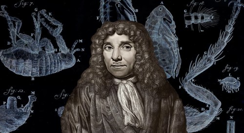 Antonie Philips van Leeuwenhoek, 1632 – 1723, a Dutch microbiologist and microscopist