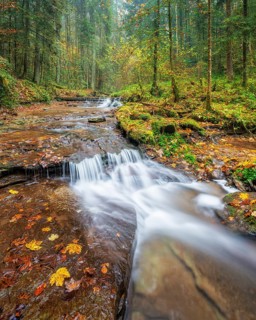 Small waterfalls of the Strümpfelbach, terraces in the course of the river, colorful autumn leaves