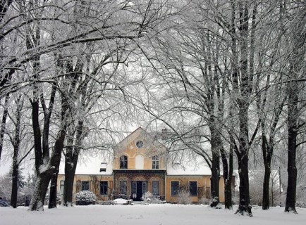 Winter lime tree avenue (Tilia) with an Art Nouveau villa built around 1900, Rögnitz,