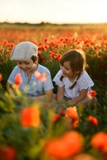 A boy and a girl, siblings, sit amidst a vibrant field of Papaver rhoeas, commonly known as common