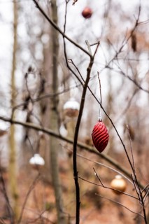 Christmas tree balls on trees in Grunewald, Zehlendorf, Berlin, Germany