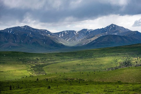 Tundra and mountain landscape with dramatic cloudy sky, Denali National Park, Alaska, USA