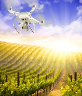 Unmanned Aircraft System (UAV) Quadcopter Drone In The Air Over Grape Vineyard Farm