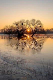 Flood, flood protection, flood plain, pasture, dike protection, dike on the Elbe, flooding,