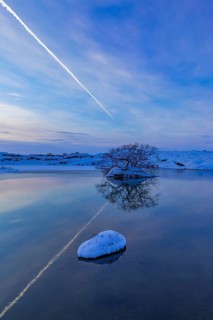 Snow-covered with bushes small island in Lake Myvatn, at blue hour, Kalfaströnd, Northern Iceland