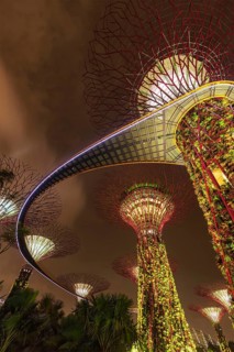 SINGAPORE, DECEMBER 31, 2013: Night view of Supertree Grove at Gardens by the Bay. Futuristic park