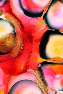 A stunning abstract image featuring vivid colors and swirling liquid textures. The bold hues and