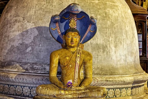 Golden Buddha statue in front of a stupa with snake head decoration, The cave temple of Dambulla in