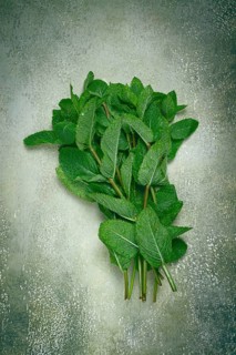 A vibrant bunch of fresh mint leaves is placed on a textured surface, showcasing their rich green