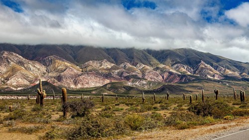 Mountainous desert landscape with cacti and clouds drifting over the peaks, The landscape of the