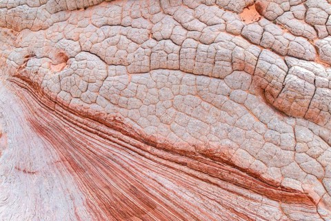 Close-up image of red desert textures showcasing intricate natural patterns and formations. The