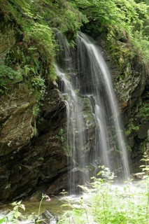 Spring at Jiet Bach, a mountain stream in the Fagaras Mountains, also Fogarasch Mountains, in the