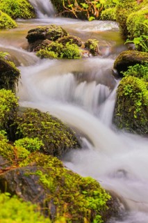 Little creek in the Bavarian Forest Nationalpark. Flowing water, little cascades, mossy stones and