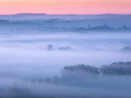 Morning atmosphere in the Saale Valley, fog passes through rows of trees at dawn in autumn,