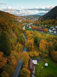 Road through the autumn forest into the town, Calw, Black Forest, Germany