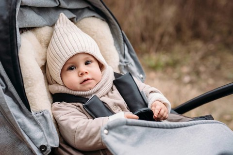 A cute baby sits comfortably in a stroller, dressed in warm, cozy autumn clothing. Surrounded by a