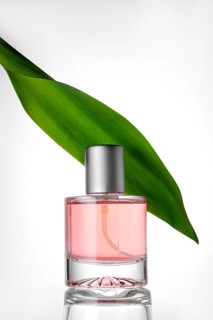 Elegant glass perfume bottle with soft pink liquid, complemented by a vibrant tulip leaf against a