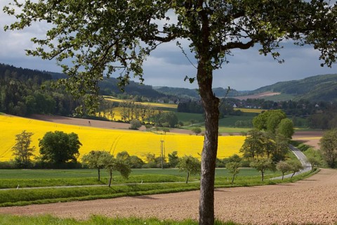 Landscape near Bodenwerder, Weserbergland, Lower Saxony, Germany