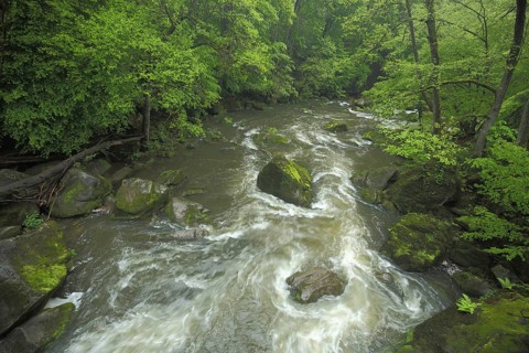 Prüm with stones and water flow, rocks, forest, crazy waterfalls, nature photography, Irrel,