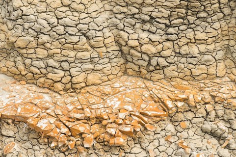 Textured patterns formed in dry, cracked clay interspersed with shattered fragments, capturing the