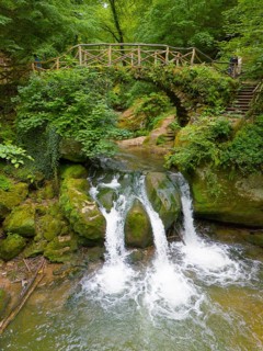 A picturesque waterfall surrounded by lush greenery and moss-covered rocks in the forest, aerial