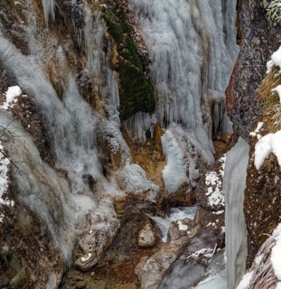 Gießenbachklamm, winter, icy, detail, Kiefersfelden, Upper Bavaria, Bavaria, Germany