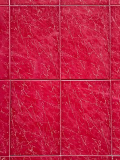 Close-up view of deep red marble tiles featuring a natural veining pattern. The vibrant color and