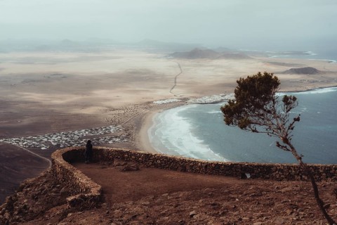 A breathtaking view of Lanzarote, displaying a vast coastal landscape. A solitary tree stands