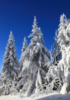 Winter landscape in the Fichtelgebirge, Bayreuth district, Upper Franconia, Bavaria, Germany