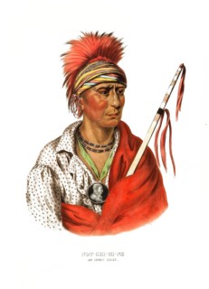 American Indian, Native American, Not-Chi-Mi-Ne, Chief of the Ioway tribe, United States of