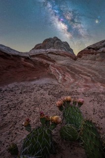 A stunning spring night scene at Coyote Buttes in the Paria Canyon-Vermilion Cliffs Wilderness,
